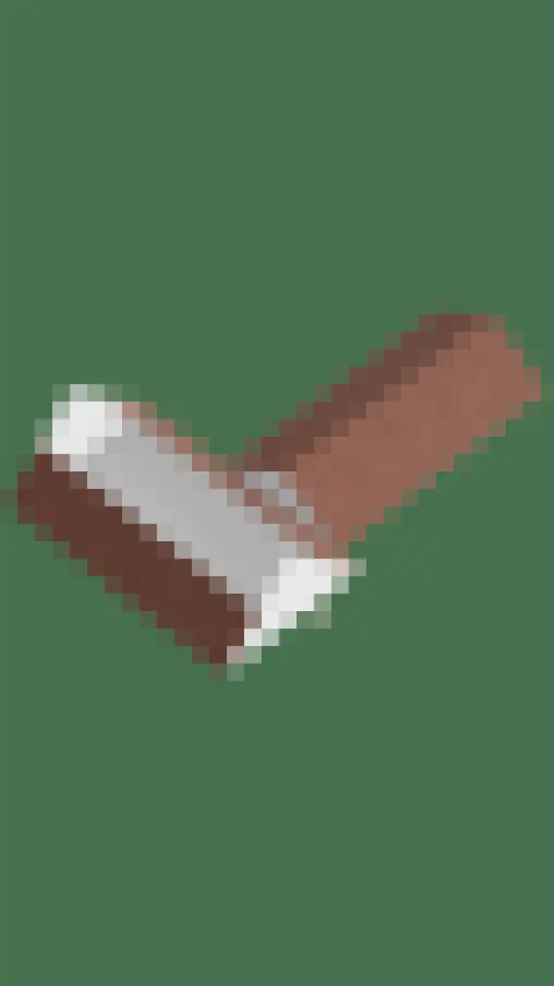 Swier 34 Wijnandsrade thumbnail 52