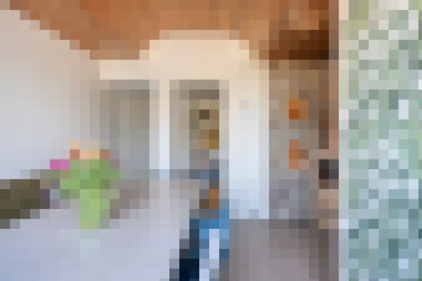 Swier 34 Wijnandsrade thumbnail 6