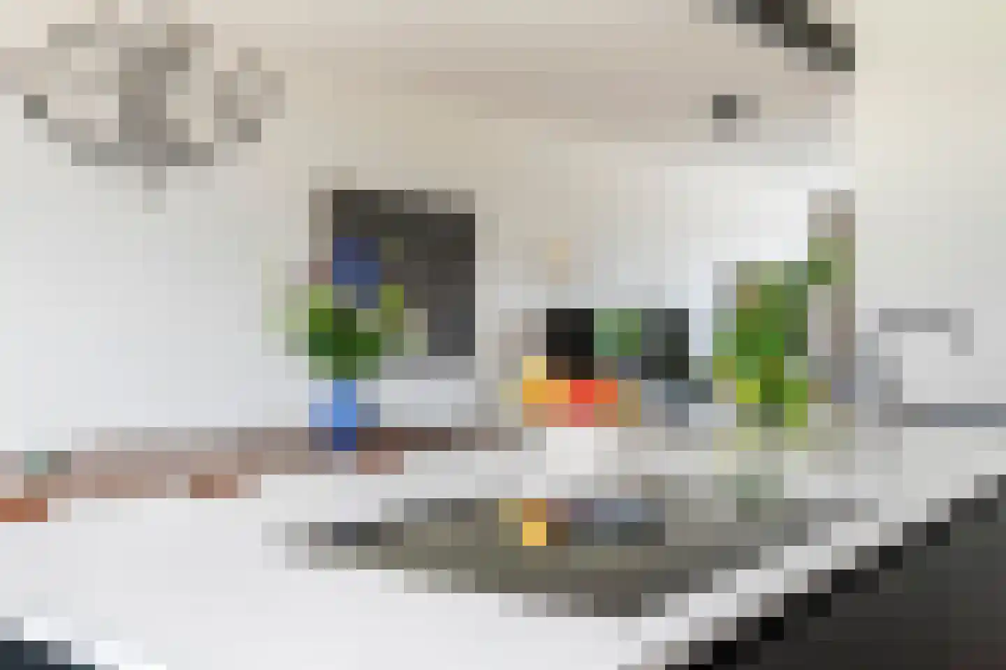 Swifterbantstraat 40 Kerk-Avezaath thumbnail 35