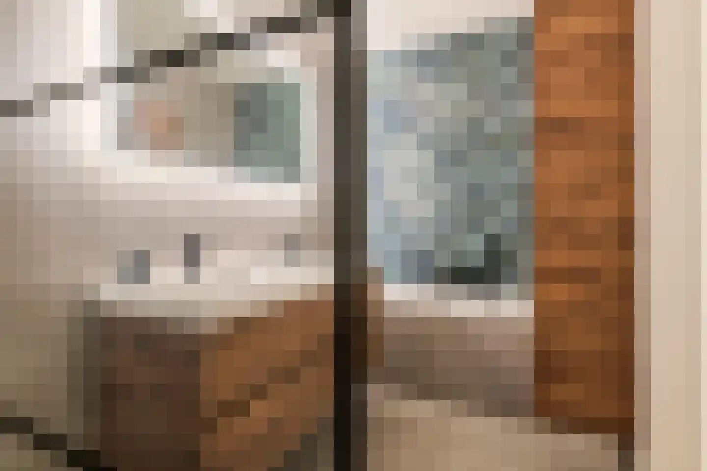 Swifterbantstraat 40 Kerk-Avezaath thumbnail 5