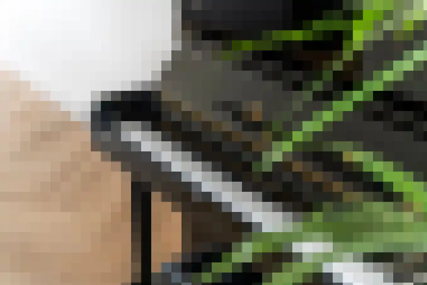 Swifterbantstraat 40 Kerk-Avezaath thumbnail 50