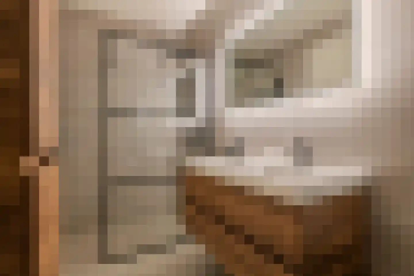Swifterbantstraat 40 Kerk-Avezaath thumbnail 69