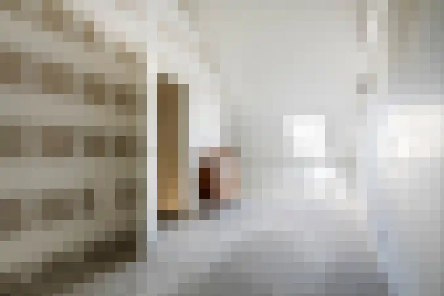 Swifterbantstraat 40 Kerk-Avezaath thumbnail 72