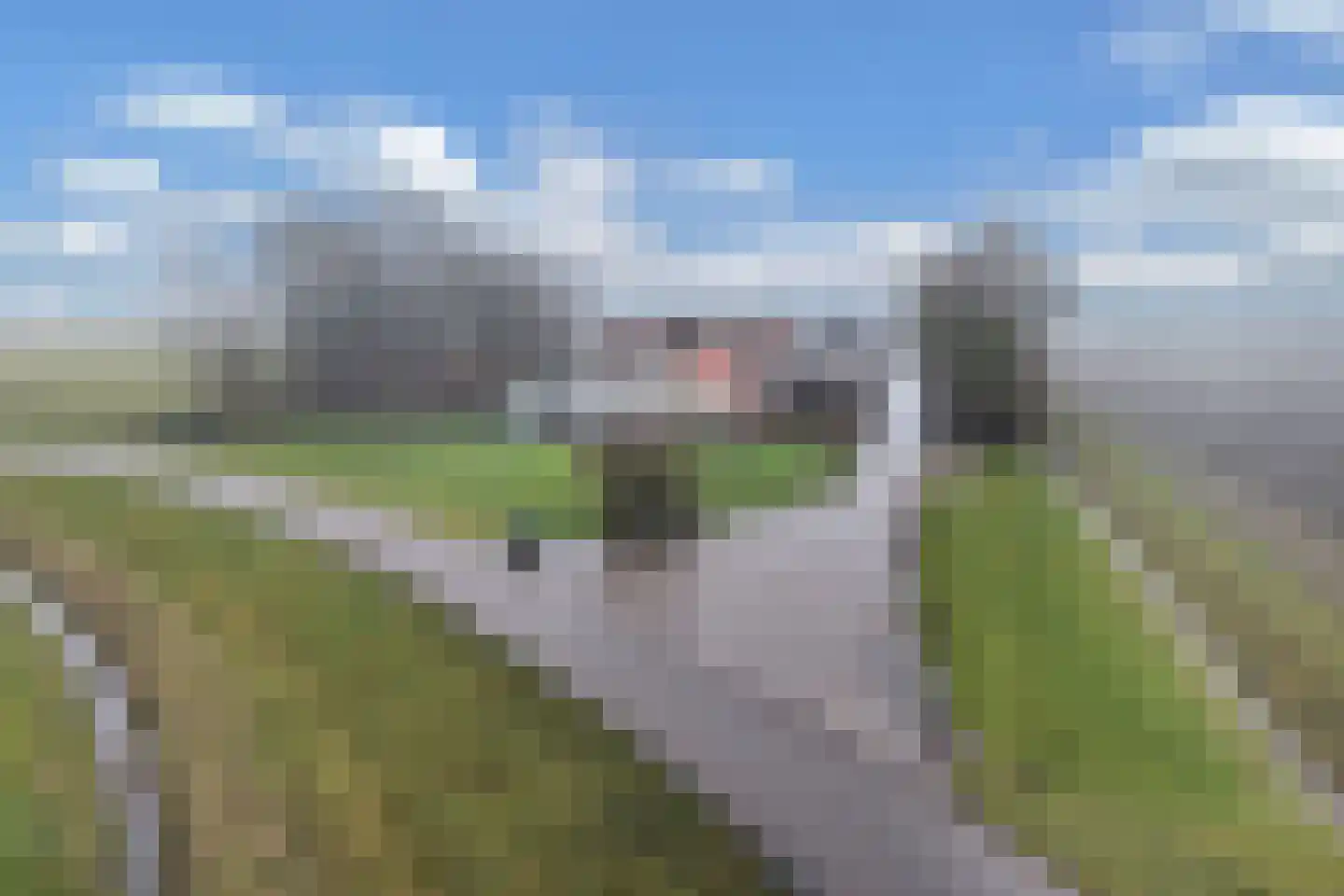 Swifterringweg 15 in Lelystad