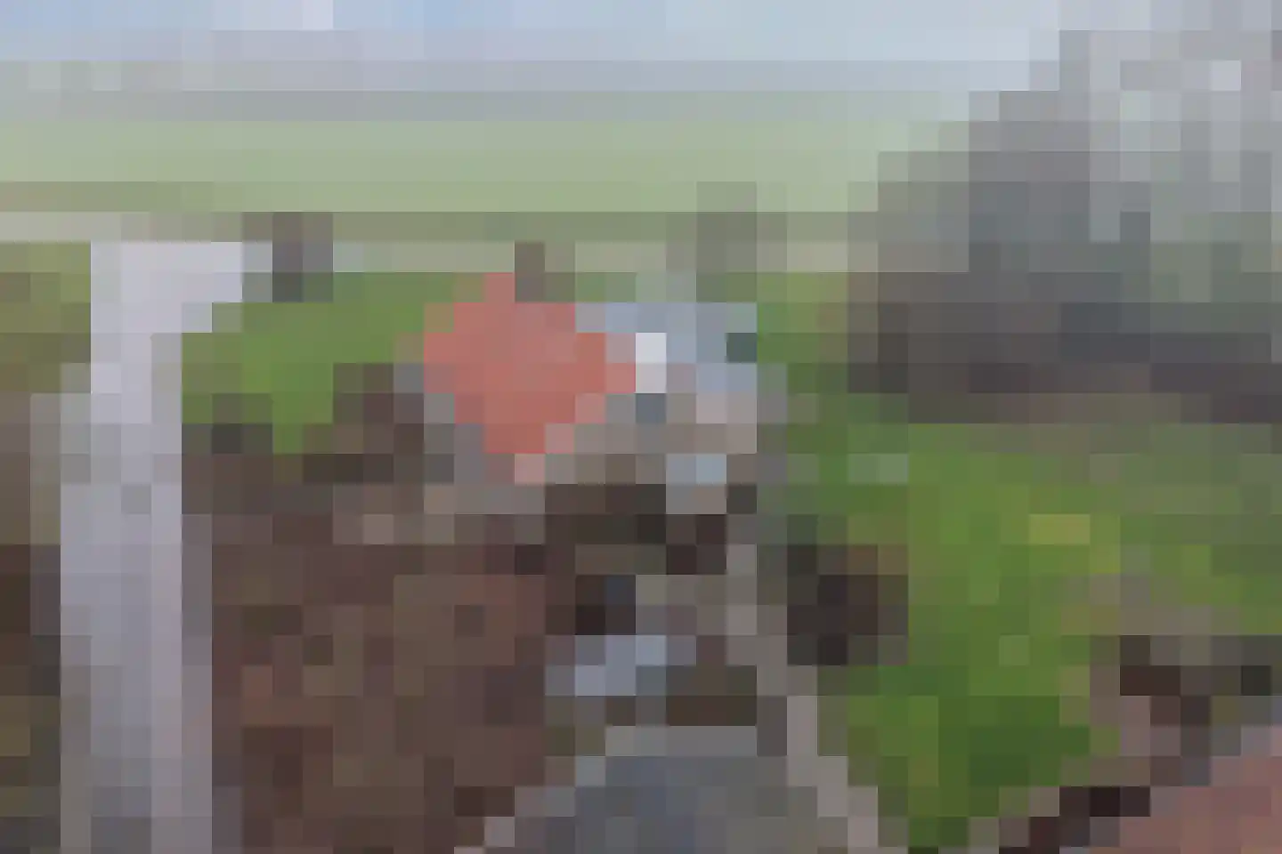 Swifterringweg 15 Lelystad thumbnail 5
