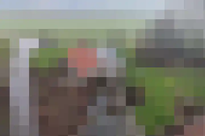Swifterringweg 15 Lelystad thumbnail 5