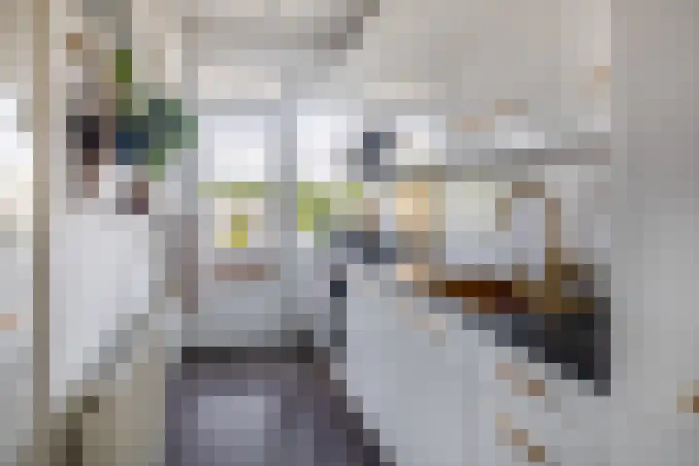 Swiftstraat 18 Rotterdam thumbnail 25