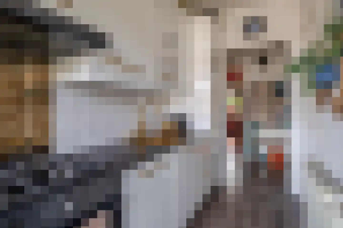 Swiftstraat 18 Rotterdam thumbnail 26