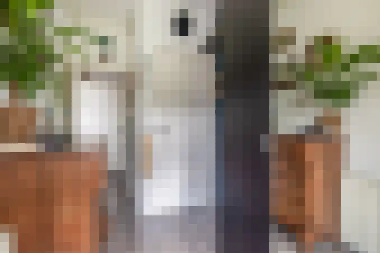 Swiftstraat 18 Rotterdam thumbnail 37