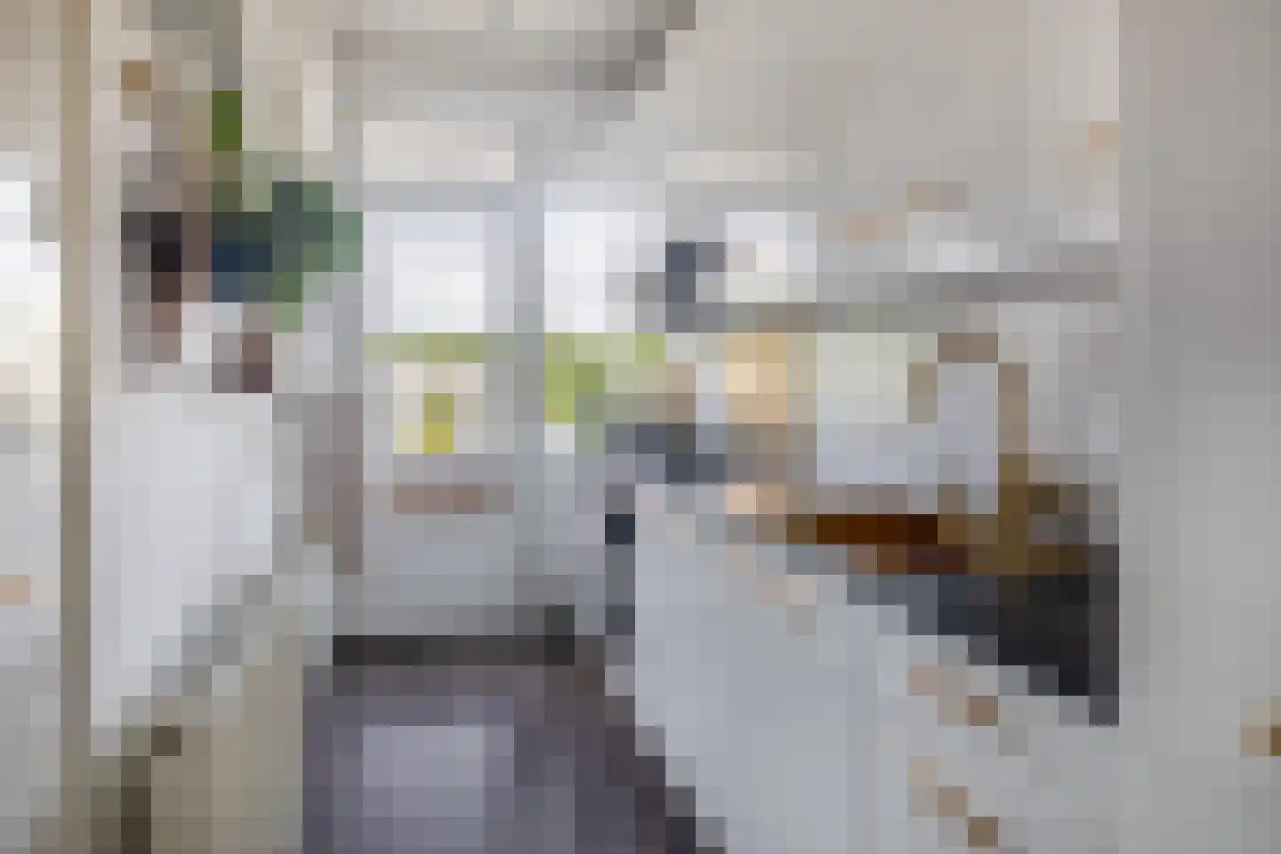 Swiftstraat 18 Rotterdam thumbnail 4