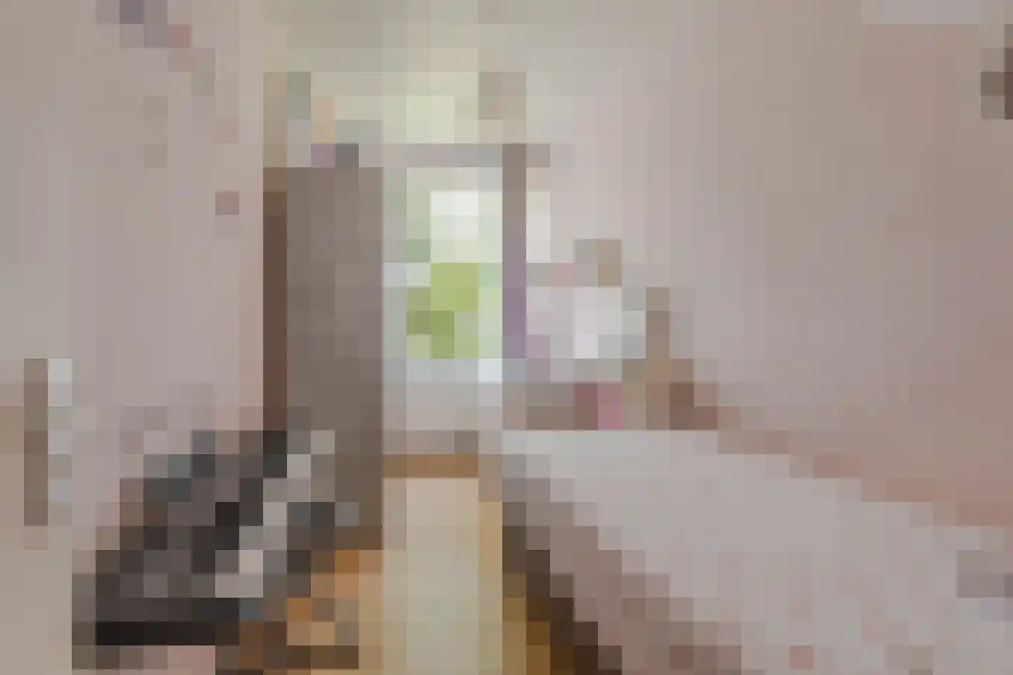 Swiftstraat 8 Rotterdam thumbnail 13