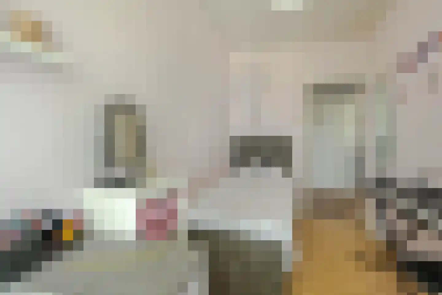 Swiftstraat 8 Rotterdam thumbnail 14