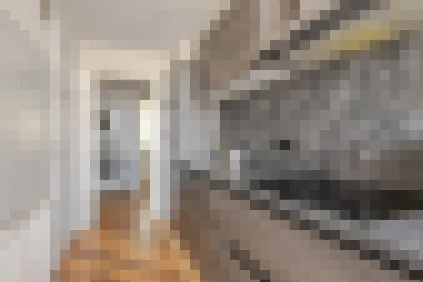 Swiftstraat 8 Rotterdam thumbnail 4