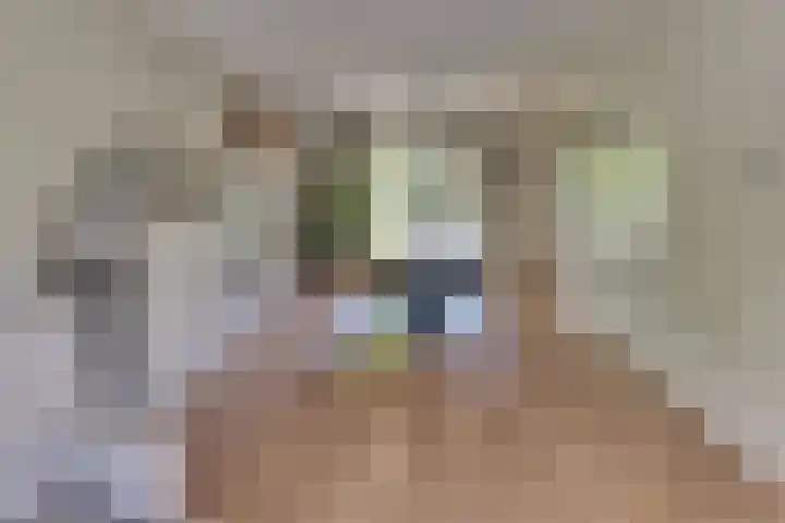 Swingdreef 18 Harderwijk thumbnail 15