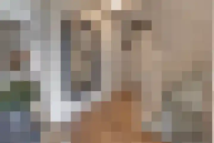 Swingdreef 18 Harderwijk thumbnail 31