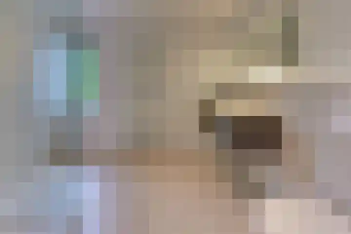 Swingdreef 18 Harderwijk thumbnail 32