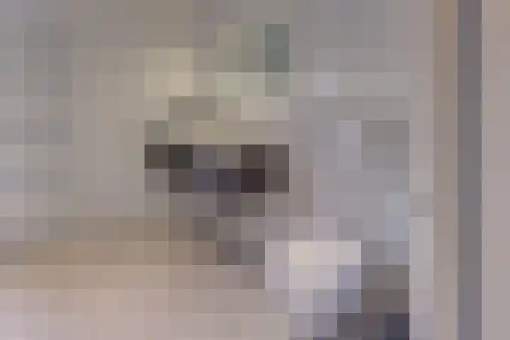 Swingdreef 18 Harderwijk thumbnail 33