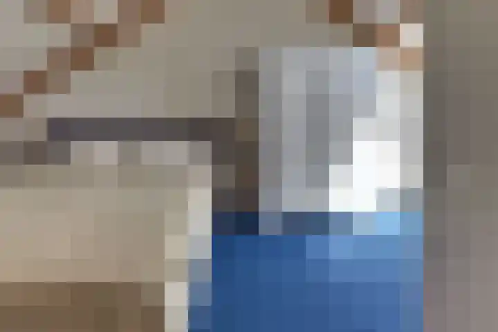 Swingdreef 18 Harderwijk thumbnail 37