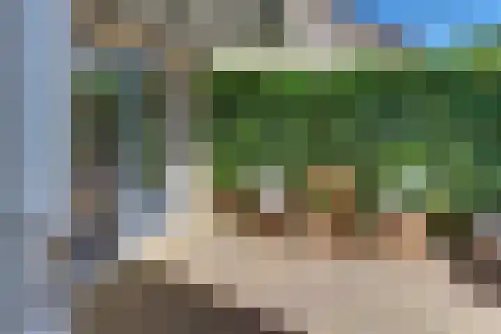 Swingdreef 18 Harderwijk thumbnail 39