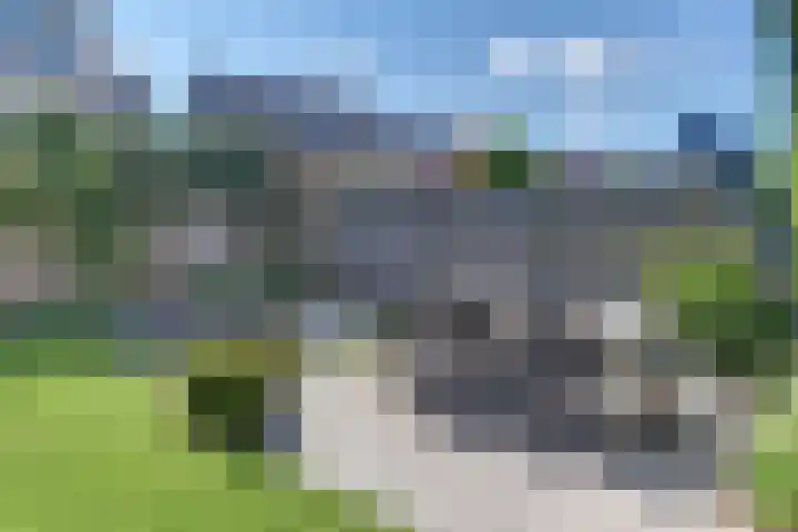 Swingdreef 18 Harderwijk thumbnail 42