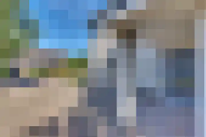 Swingdreef 18 Harderwijk thumbnail 49