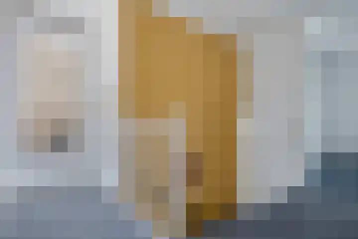 Swingdreef 48 Harderwijk thumbnail 23