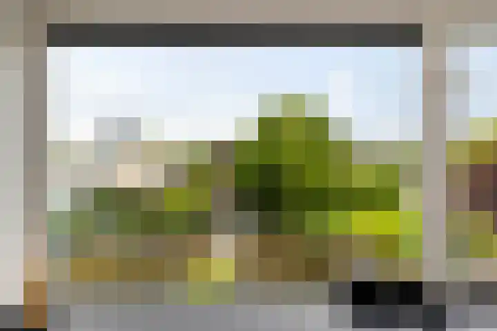 Swingdreef 48 Harderwijk thumbnail 31