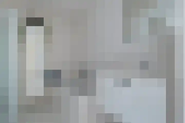 Swingdreef 48 Harderwijk thumbnail 33