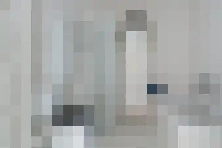 Swingdreef 48 Harderwijk thumbnail 34