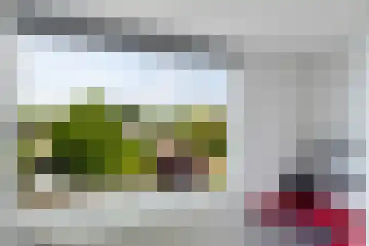 Swingdreef 48 Harderwijk thumbnail 37