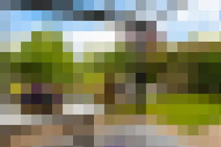 Swingdreef 48 Harderwijk thumbnail 39