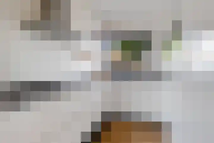 Swingdreef 48 Harderwijk thumbnail 4