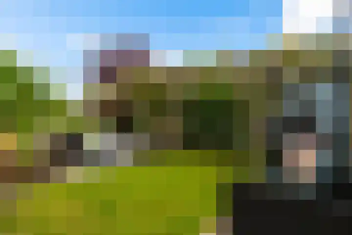 Swingdreef 48 Harderwijk thumbnail 41