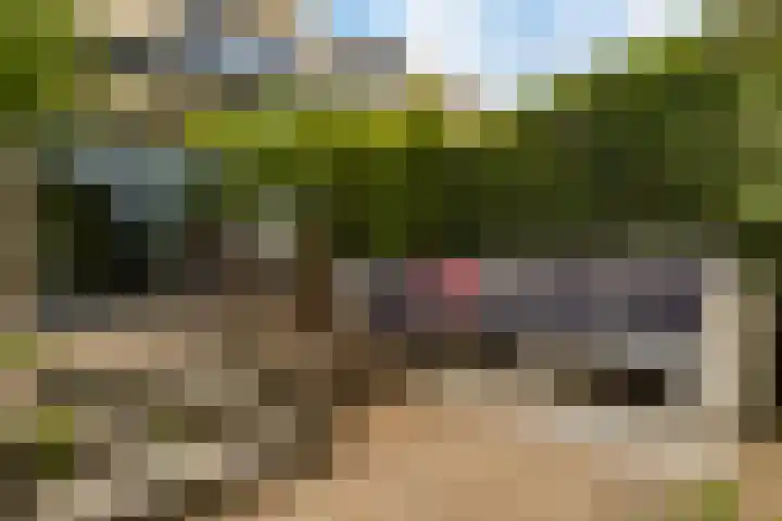 Swingdreef 48 Harderwijk thumbnail 44