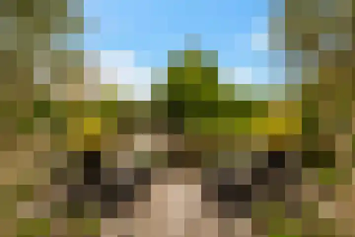 Swingdreef 48 Harderwijk thumbnail 45