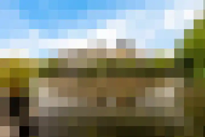 Swingdreef 48 Harderwijk thumbnail 46