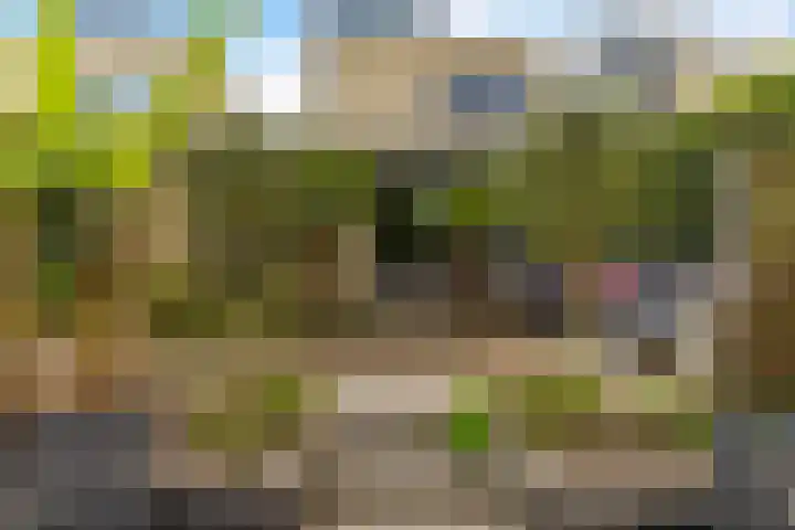 Swingdreef 48 Harderwijk thumbnail 47
