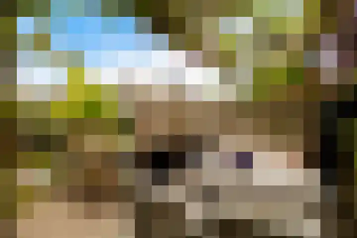 Swingdreef 48 Harderwijk thumbnail 48