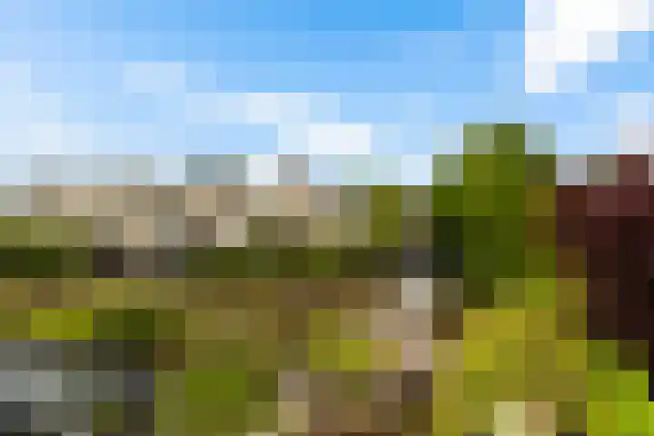 Swingdreef 48 Harderwijk thumbnail 49