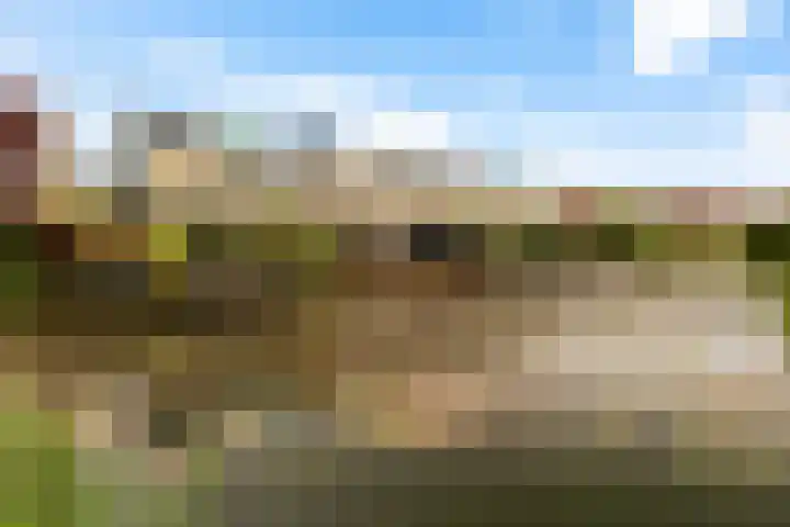 Swingdreef 48 Harderwijk thumbnail 50