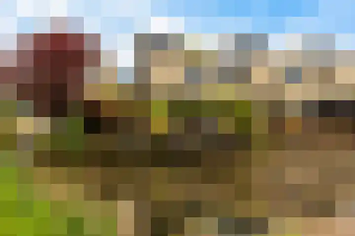 Swingdreef 48 Harderwijk thumbnail 51