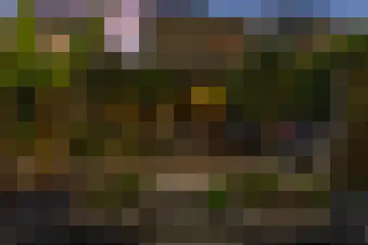 Swingdreef 48 Harderwijk thumbnail 53