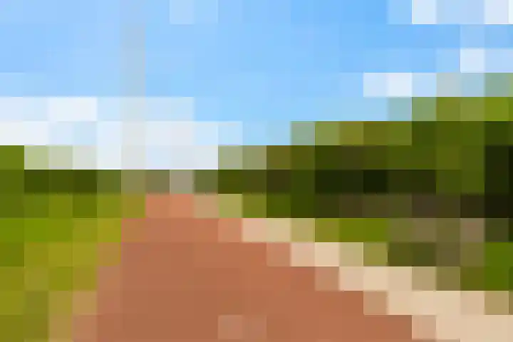 Swingdreef 48 Harderwijk thumbnail 55