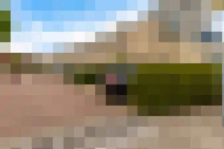 Swingdreef 48 Harderwijk thumbnail 9