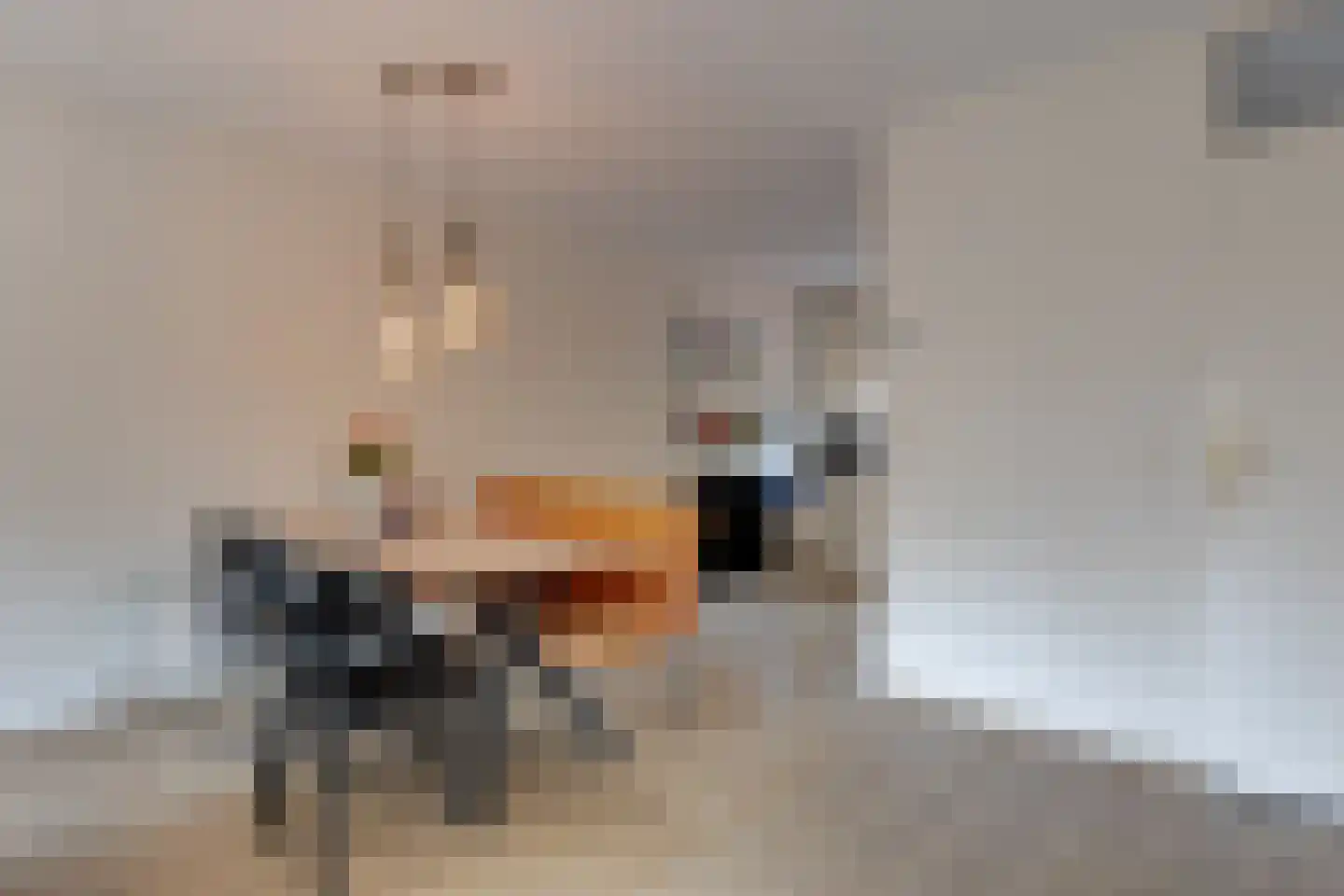 Switbertushof 5 Lichtenvoorde thumbnail 11