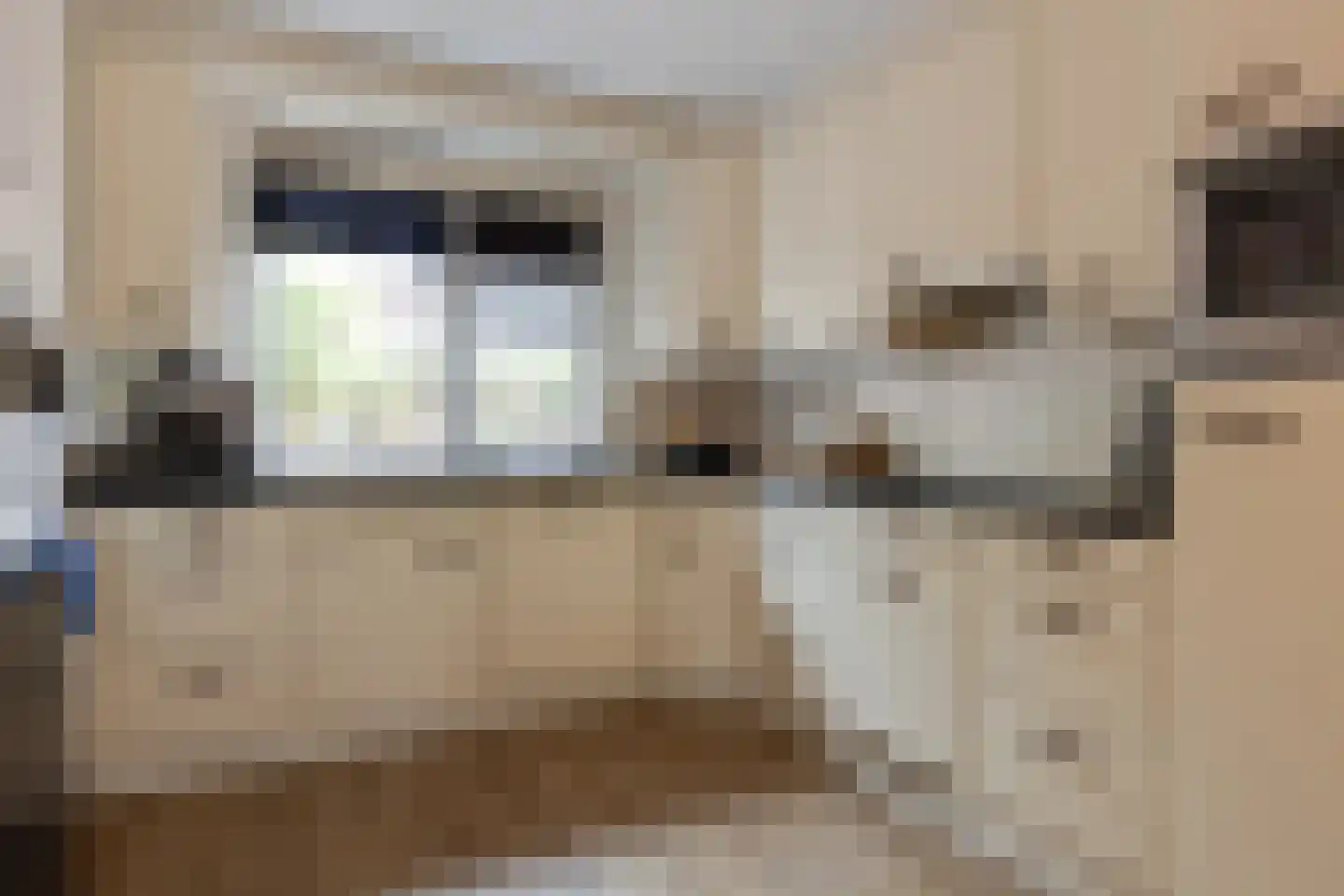 Switbertushof 5 Lichtenvoorde thumbnail 14