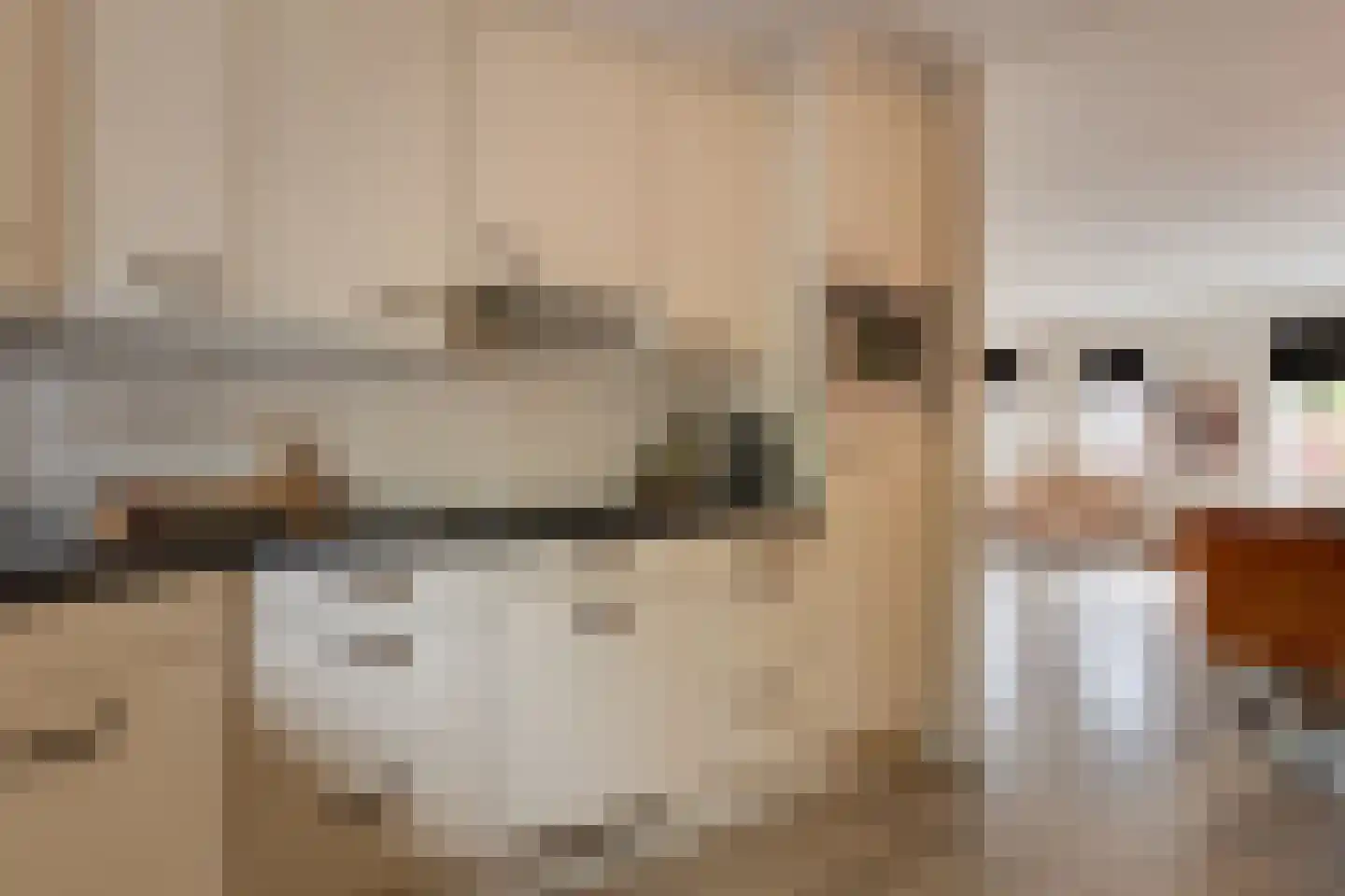 Switbertushof 5 Lichtenvoorde thumbnail 15