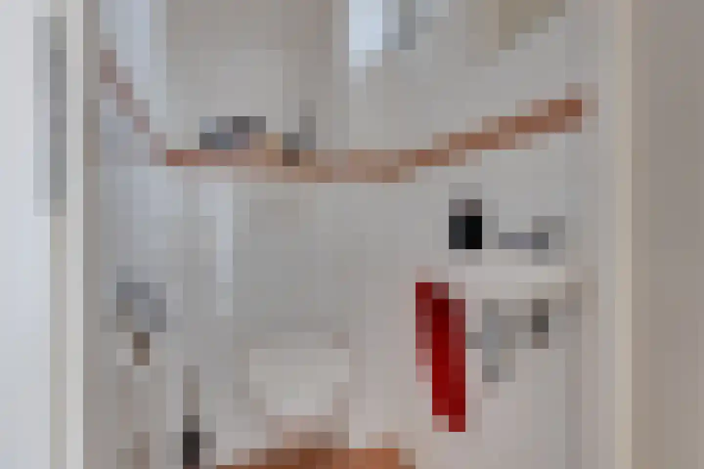 Switbertushof 5 Lichtenvoorde thumbnail 17