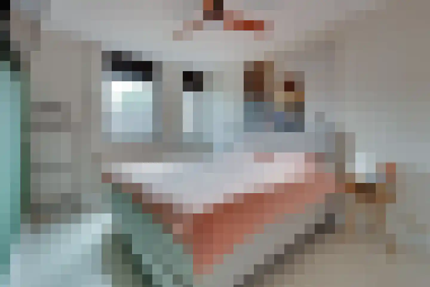 Switbertushof 5 Lichtenvoorde thumbnail 21