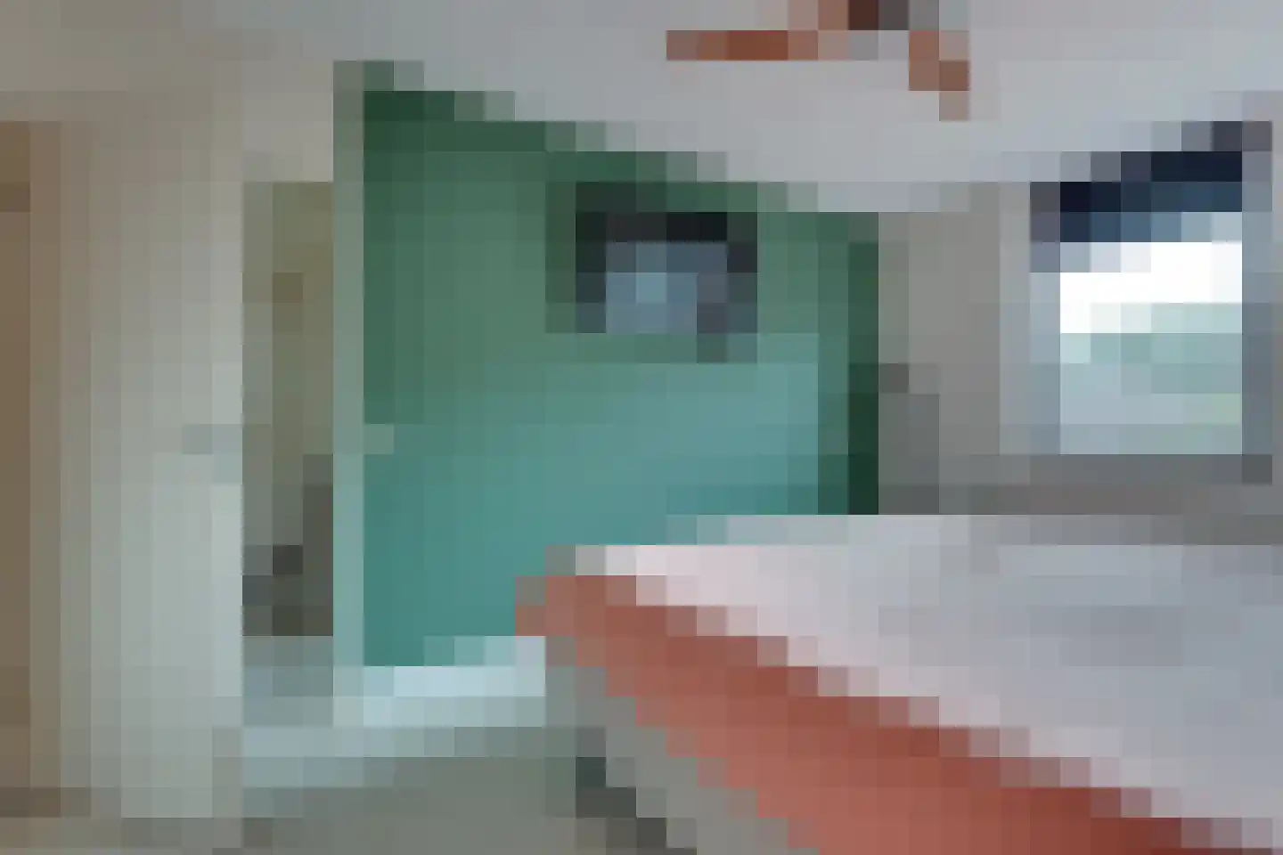 Switbertushof 5 Lichtenvoorde thumbnail 23